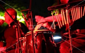 festival_organizasyonu (40).jpeg